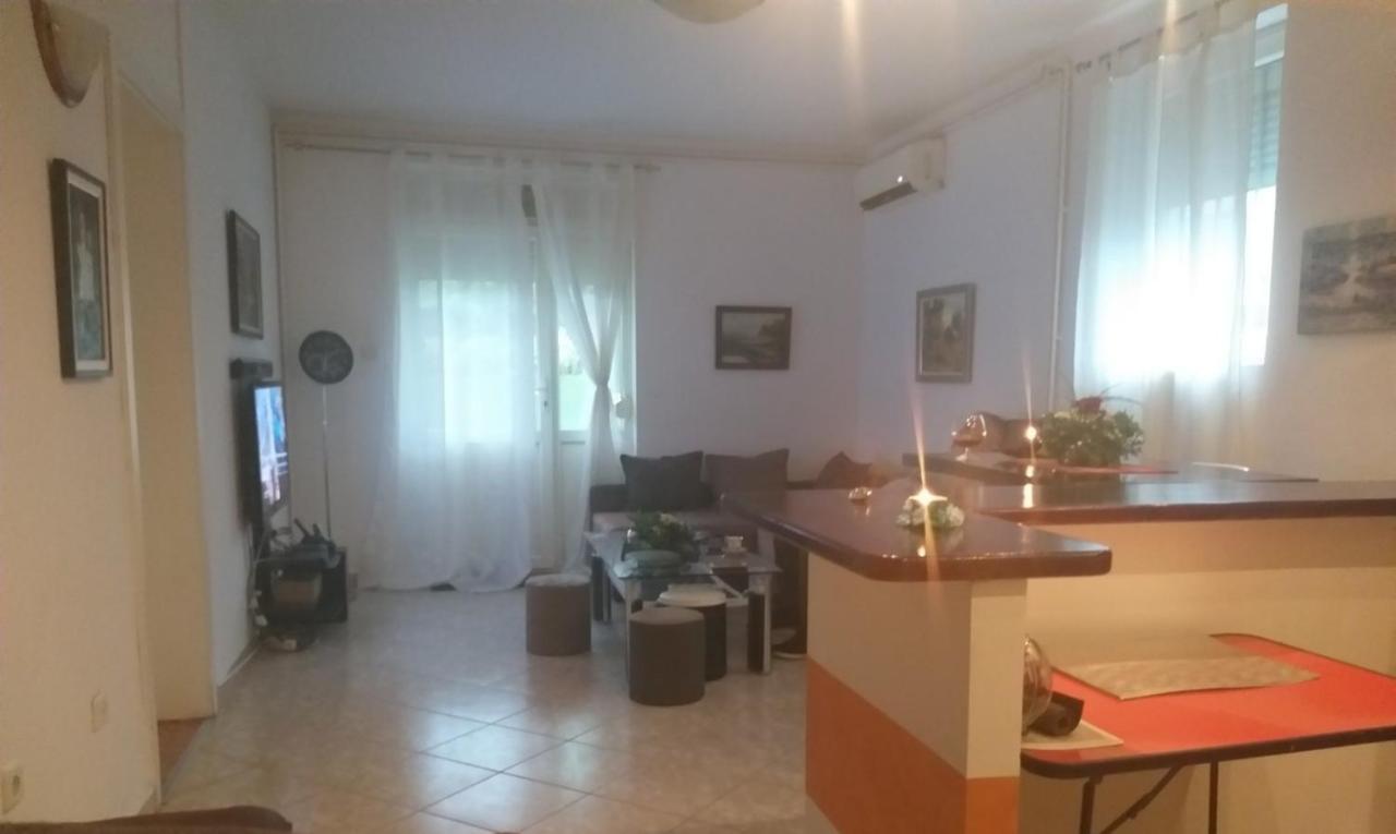 Appartement Apartman Nv à Vrnjačka Banja Extérieur photo