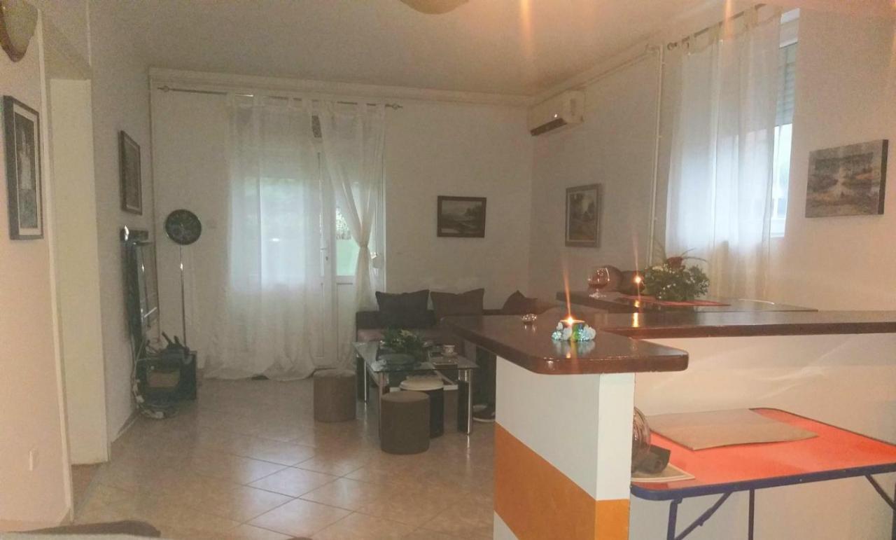 Appartement Apartman Nv à Vrnjačka Banja Extérieur photo