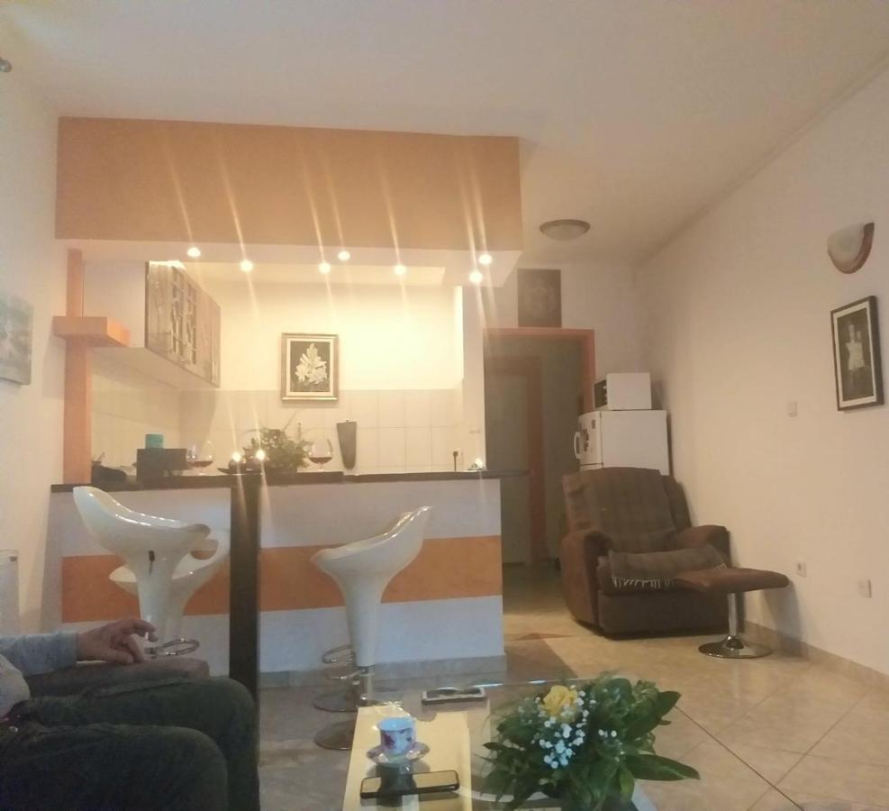 Appartement Apartman Nv à Vrnjačka Banja Extérieur photo