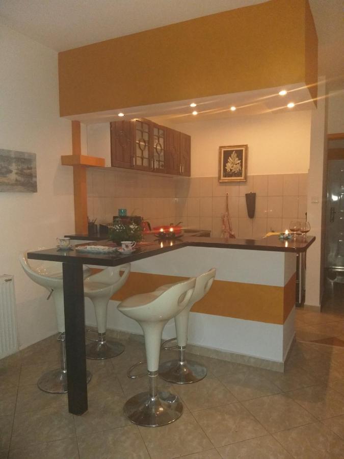 Appartement Apartman Nv à Vrnjačka Banja Extérieur photo