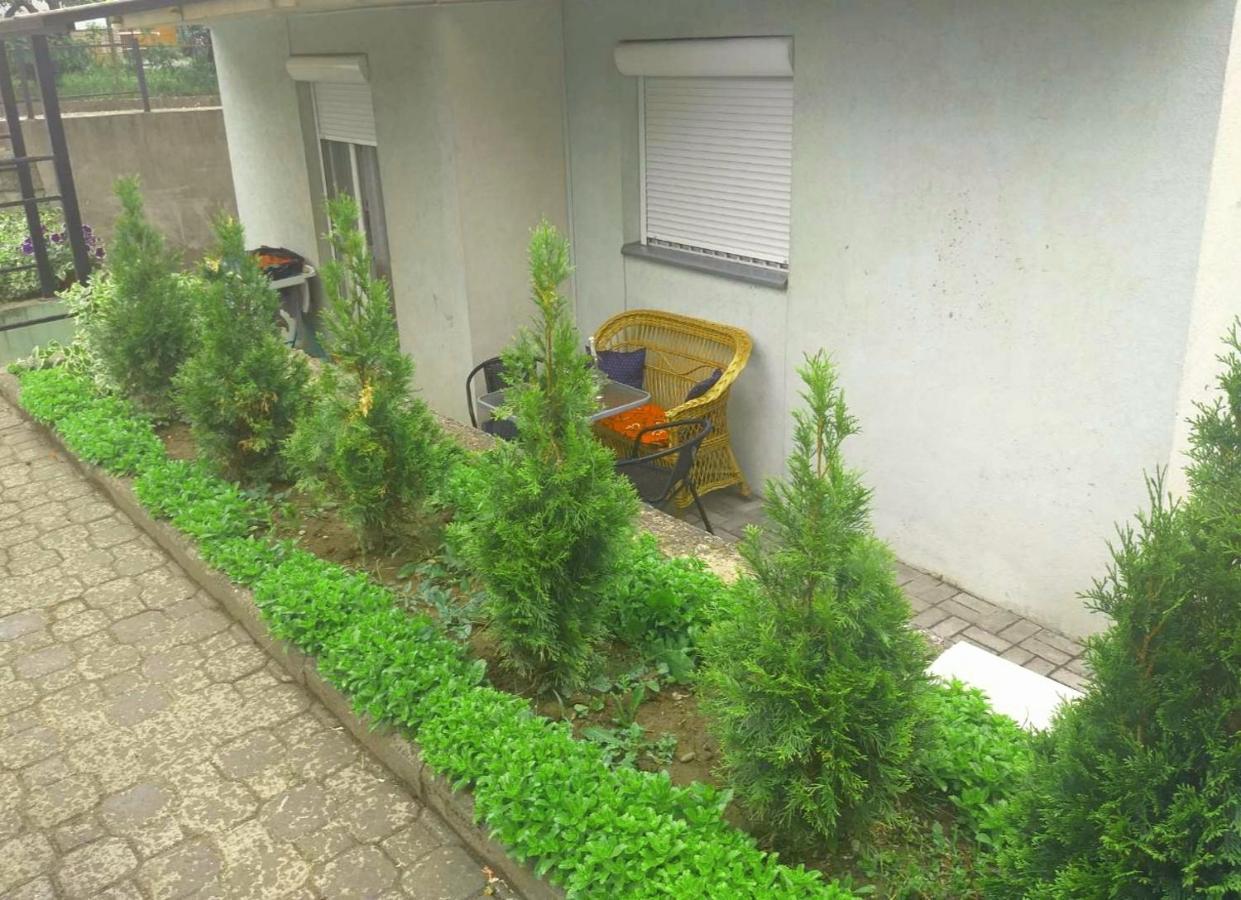 Appartement Apartman Nv à Vrnjačka Banja Extérieur photo