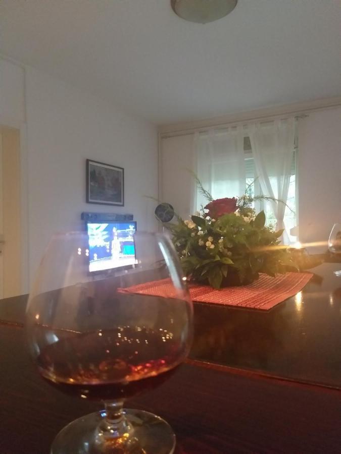 Appartement Apartman Nv à Vrnjačka Banja Extérieur photo