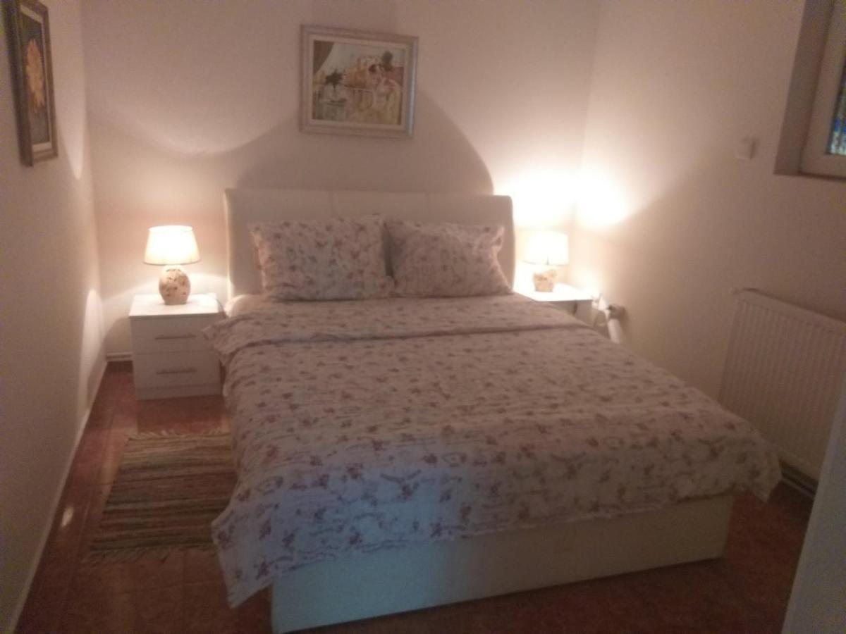 Appartement Apartman Nv à Vrnjačka Banja Extérieur photo