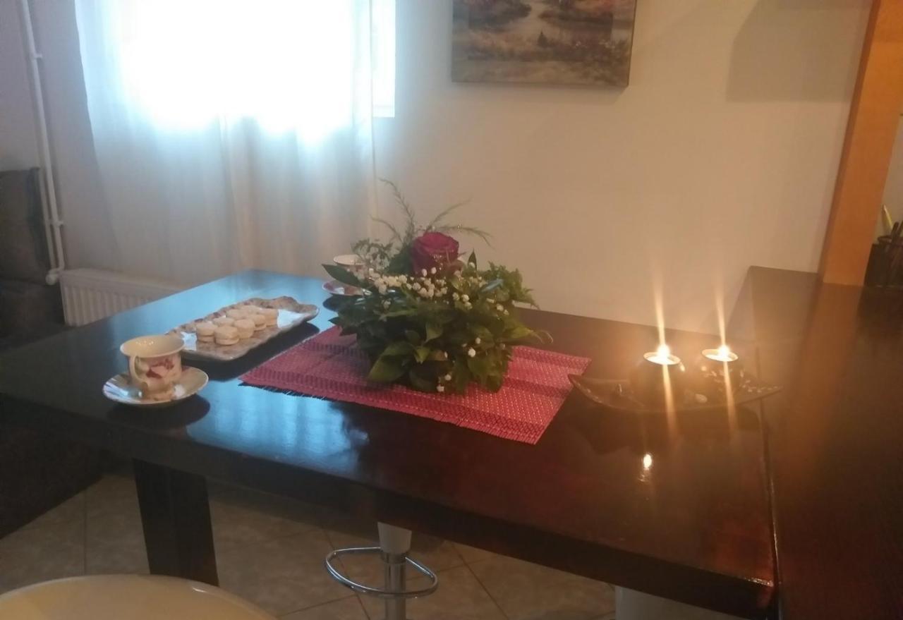 Appartement Apartman Nv à Vrnjačka Banja Extérieur photo