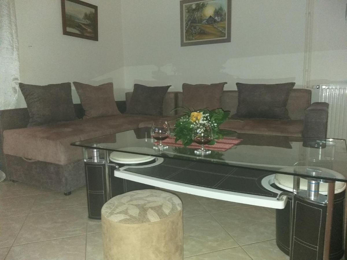 Appartement Apartman Nv à Vrnjačka Banja Extérieur photo