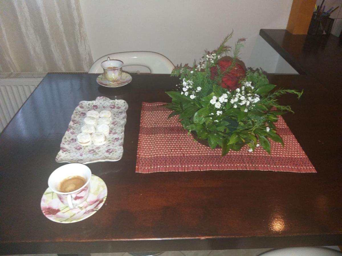Appartement Apartman Nv à Vrnjačka Banja Extérieur photo