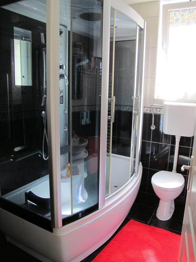 Appartement Apartman Nv à Vrnjačka Banja Extérieur photo
