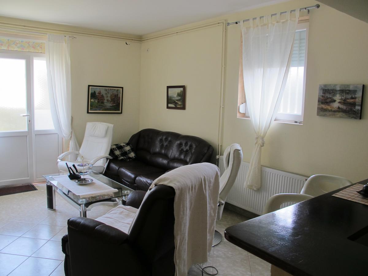 Appartement Apartman Nv à Vrnjačka Banja Extérieur photo